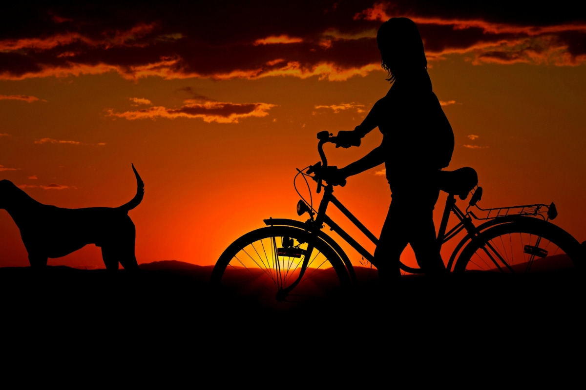 Biking With Dog