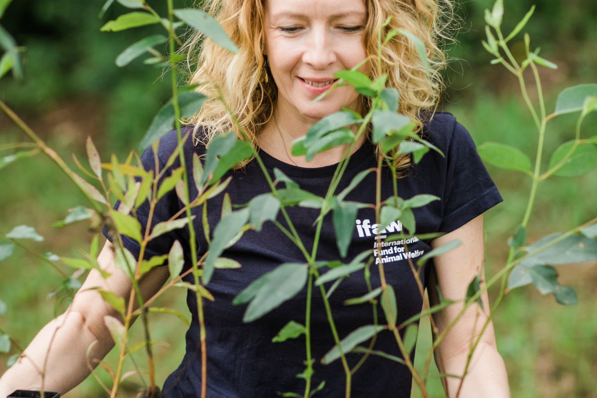 Woman Tree Planting for Non Profit